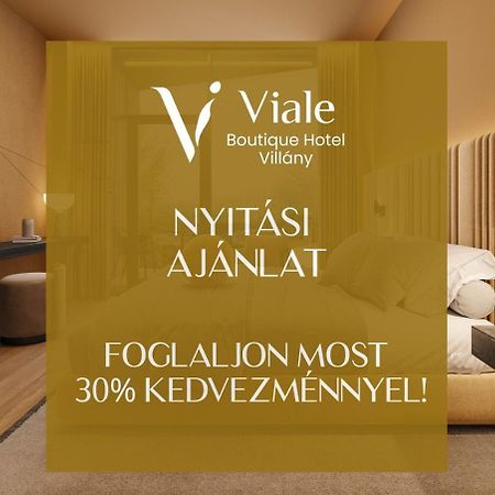 Viale Boutique Hotel فيلاني المظهر الخارجي الصورة